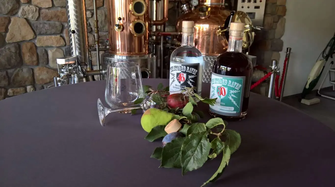Gin-Tasting – Brennerei & Kelterei Rabenstein